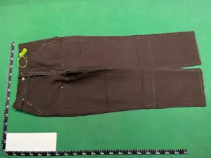 665f72dbf92c012d88ee4a6d_652d1970bbb8f55656202c74_0995unnamed