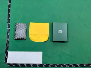 665f745c565f74998aaffc14_652d1997ad5aad4ee8e49031_1210unnamed