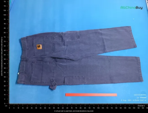 66da358af33a711a8afed040_66c60198b1ba6f5c46f39b26_06c014df-9709-4ba5-8546-b58ecaf8579f_result