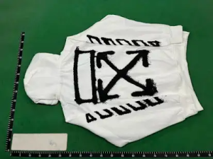 a2c1de5e-1bbf-458e-b940-e20d9de94e82