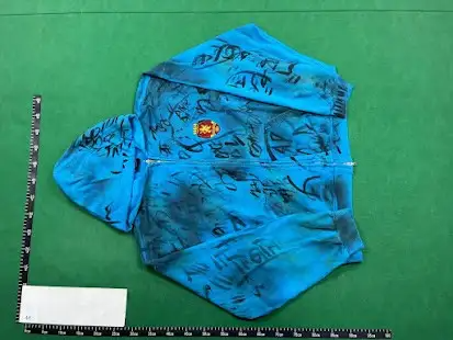 Balenciaga Skater Zip-Up Hoodie Blue 2 Balenciaga Skater Zip-Up Hoodie Blue - Image 2