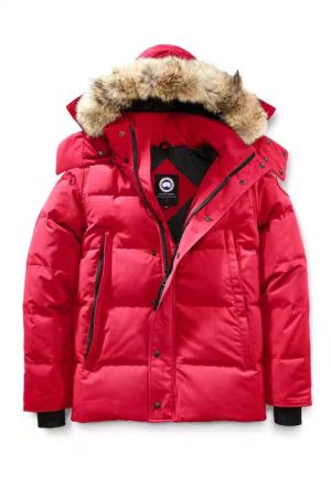 微信图片_20241024220401