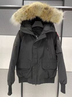 CnFans 微信图片 20241024221549