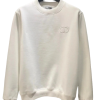 Dior new space cotton sweatshirt (14 Variants）