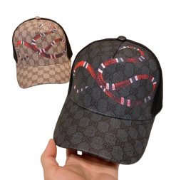 Gucci Hat（40 Variants）