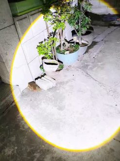 Outdoor zoom emergency strong light flashlight 7 CnFans 微信图片 20250313140352