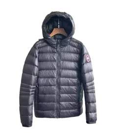 Down jacket (6 OPTIONS)